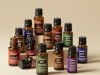 The Power of Scent: Enhancing Everyday Spaces Through Fragrance Solutions and Scent Marketing