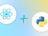 Transform Your Web Development Process Using React and Python APIs