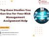 Top Case Studies You Can Use for Your Risk Management Assignment Help