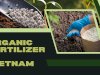 Organic Fertilizer in Vietnam: A Sustainable Farming Revolution