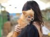 A Pet Lover’s Paradise: Bring Your Furry Friends Along