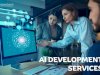 Custom AI Development Services