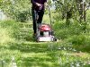 Lawn Care GA Your Complete Solution for Beautiful Atlanta Lawns