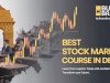  Comprehensive Stock Market Courses for Beginners and Professionals at Bulls and Brains
