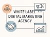 White Label Digital Marketing Agency: Empowering Growth Without the Overhead