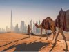 Explore the Best Desert Safari Activities in Dubai – Photos, Rides & Experiences