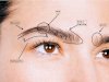 Eyebrow Transplant: The Ultimate Solution for Sparse Brows