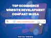Professional eCommerce Website Development Company in the USA