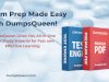 DumpsQueen Offers You the Best Return on Time with Effective Exam Study Material