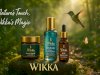 Aromatherapy and Essential Oils: The Ancient Art of Healing in a Modern World