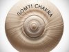 Gomti Chakra for Protection, Prosperity, and Peace