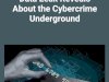 Briansclub: What the Infamous Data Leak Reveals About the Cybercrime Underground