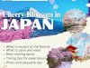Best Japan Tours for Families – Safe, Fun & Full of Cultural Surprises