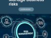  Effectively Manage Business Risks for Financial Stability