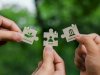 Incident Management Software: Key To Faster Response And Risk Mitigation