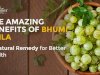 The Amazing Benefits of Bhumi Amla: A Natural Remedy for Better Health