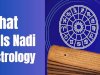 What Is Nadi Astrology: Unraveling Destiny & Ancient Wisdom