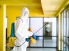 Pest Control Airdrie: Protecting Your Home from Unwanted Guests