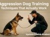 Aggression Dog Training Techniques That Actually Work