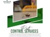 Comprehensive Pest Control Services for a Safer Environment