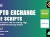 AI-Powered Crypto Exchange Clone Scripts: The Future of Crypto Trading