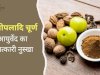 सितोपलादि चूर्ण: आयुर्वेद का चमत्कारी नुस्खा