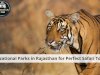 5 National Parks in Rajasthan for Perfect Safari Tour