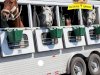 Reliable and Professional Horse Delivery in California