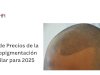 Guía de Precios de la Micropigmentación Capilar para 2025
