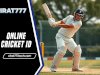 Online Cricket ID for Betting on Domestic Cricket Matches