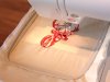 Fast-Track Your Skills: Embroidery Digitizing Shortcuts Experts Use