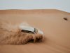 Best Desert Safari in Abu Dhabi: A Hidden Gem Experience at Al Khatim Desert