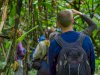 Ultimate Uganda Gorilla Trekking Guide