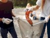 How Can Hazardous Material Removal Safeguard Commercial Environments?