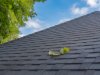 The Ultimate Guide to Choosing the Right Roofing Solution in Auckland