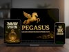Pegasus System Review – Simple Guide to Online Income Models