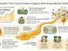 India Organic Wild Honey Sector Insights: Scope, Innovation, and Leading Companies