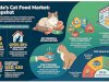 Canada Cat Food Market Forecast and Growth Analysis, 2026-2034 | The Report Cube 