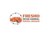 Dead Rodent Smell? Here’s How Fresho Experts Handle It