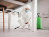 Pest Control Edmonton: Protecting Your Home and Business From Unwanted Intruders