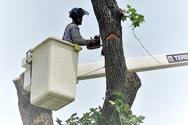 Storms in Ohio: How Severe Weather Can Affect Homes, Trees, and Communities