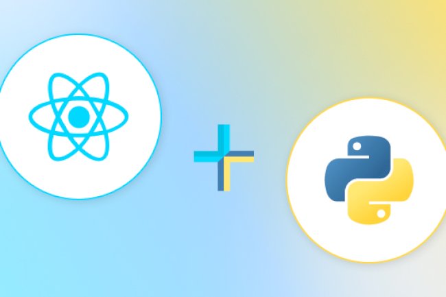 Transform Your Web Development Process Using React and Python APIs