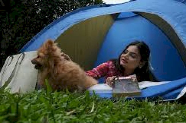 Escape the City, Enter the Adventure: Suggee Resort Awaits