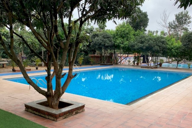 Rain or Shine, the Fun Doesn’t Stop at Suggee