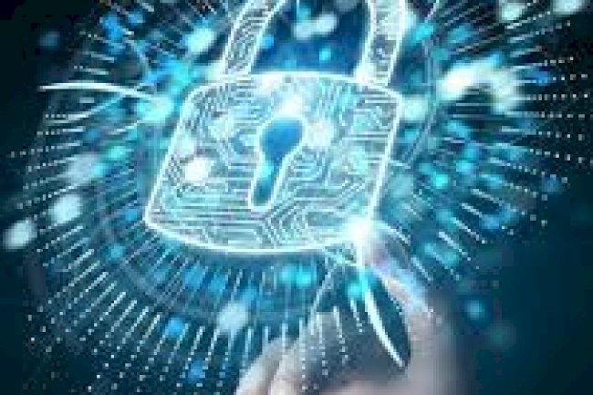 Top-Rated IT Services In Fort Lauderdale For Small And Mid-Sized Businesses