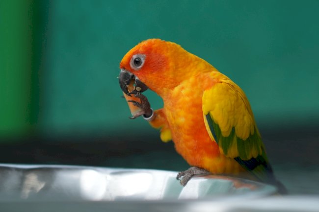 Nature’s Hug Close to Home – Suggee Resort’s Signature Calm