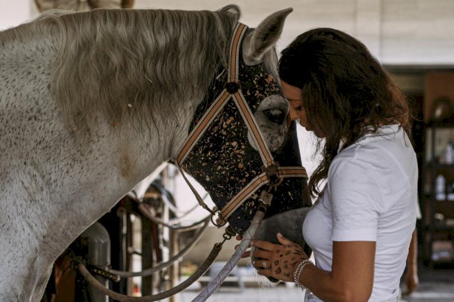 Healthy Hooves, Happy Horse: Understanding Hoof Supplements