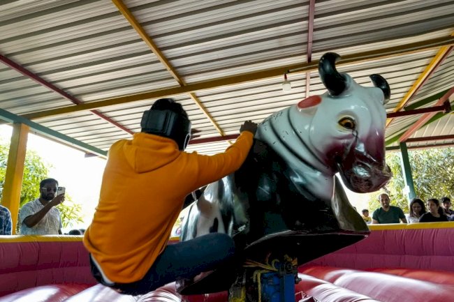 From Bird Songs to Bull Rides: Find Your Happy Place