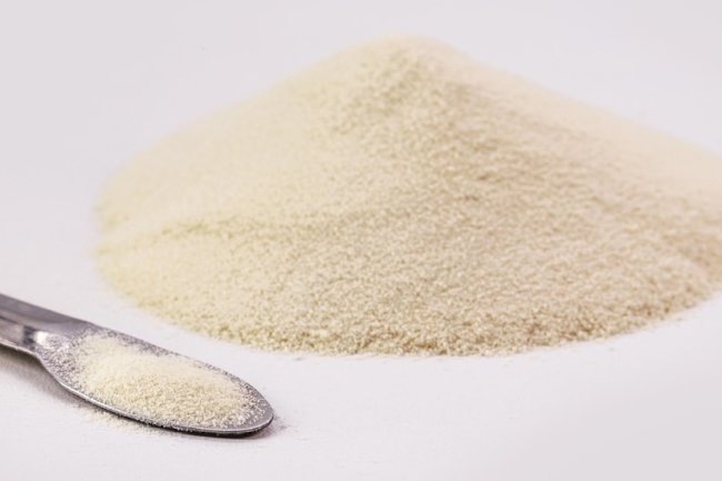 Setting Up a Successful Gelatin Powder Manufacturing Plant Cost Report 2025: Business Plan