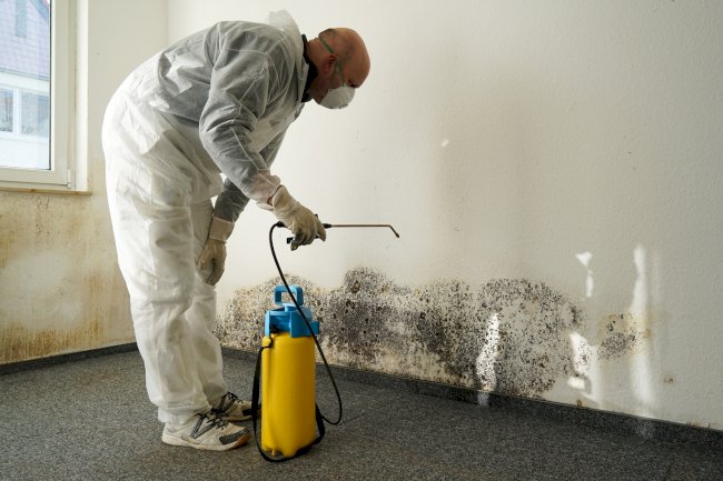 Restore Water Damage Fast with Expert Cleanup Services